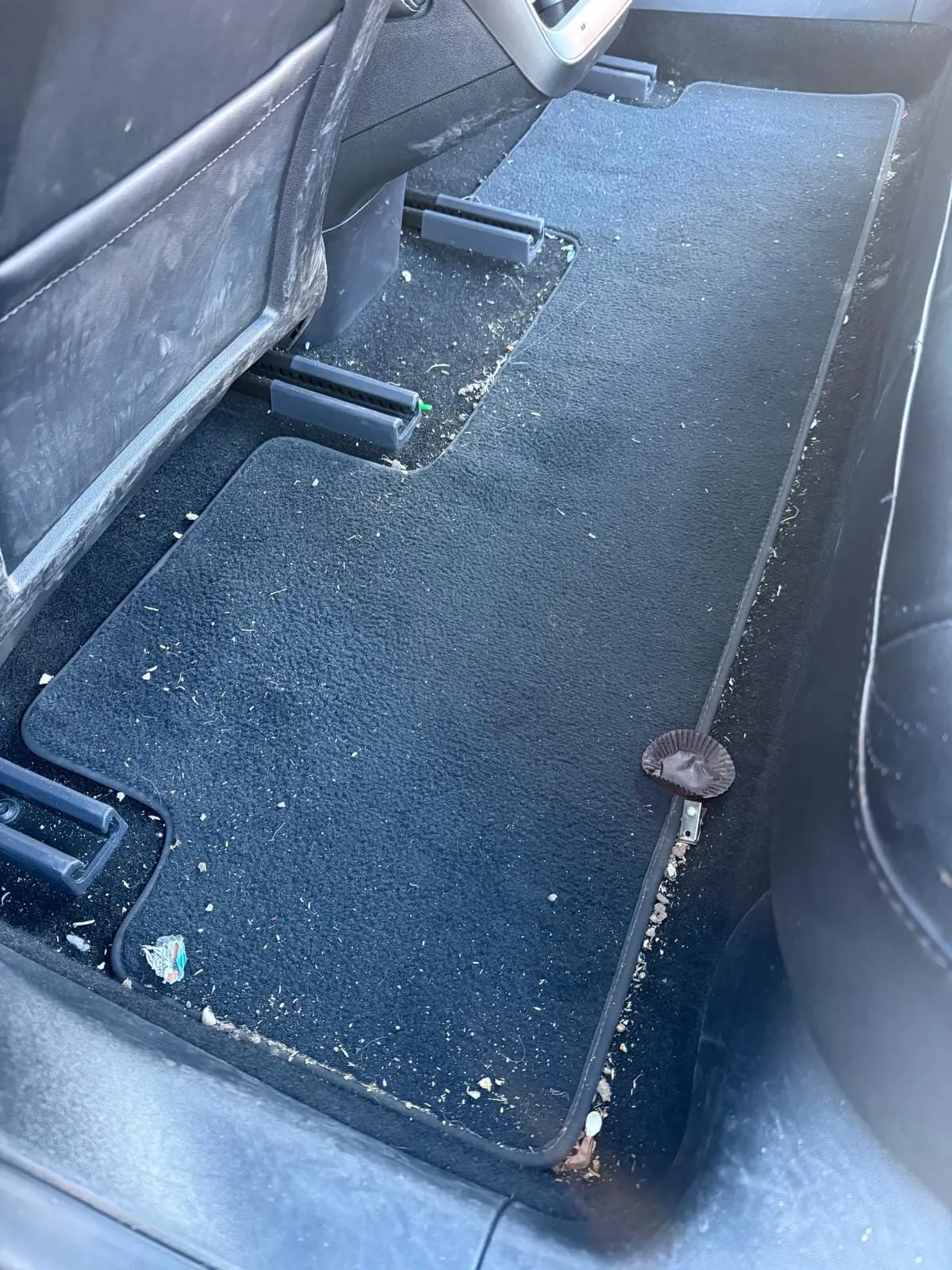 Filthy rear floor carpet and mats deep-cleaned back to factory condition — before detailing