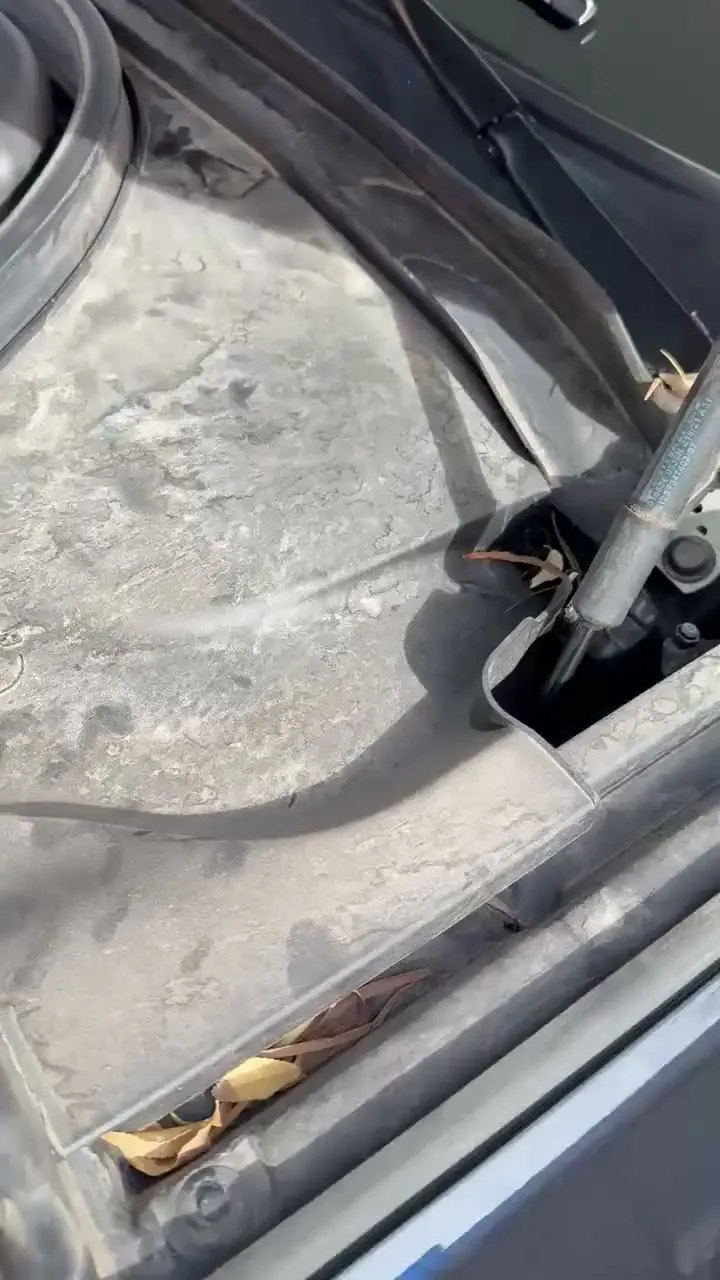 Dust and dry soil around the BMW cowl and strut towers before wet cleaning