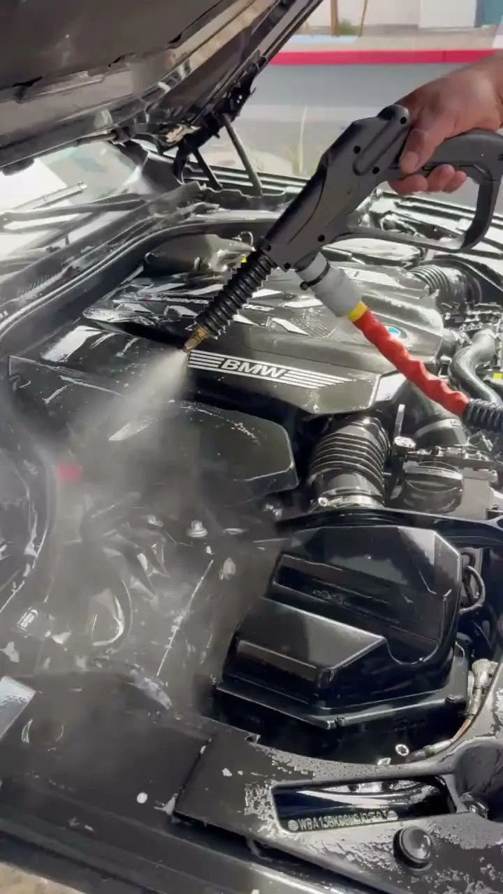 Steam rinsing the BMW engine bay carefully around the electronics
